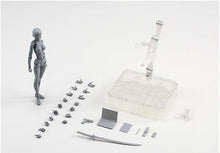 Load image into Gallery viewer, Body-Kun™ - Models for Artists