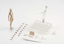 Load image into Gallery viewer, Body-Kun™ - Models for Artists