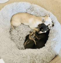 Load image into Gallery viewer, Pet Bed