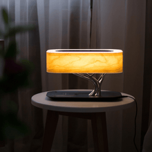 Load image into Gallery viewer, Light of Life