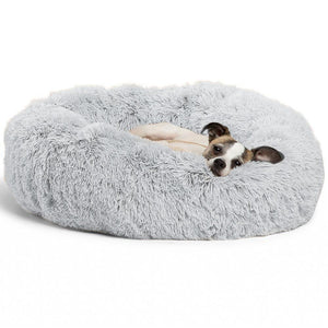 Pet Bed