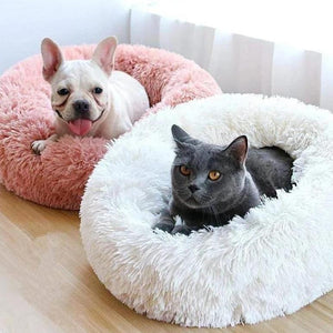 Pet Bed