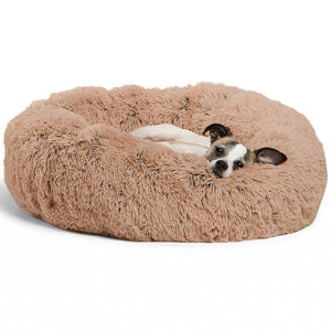 Pet Bed