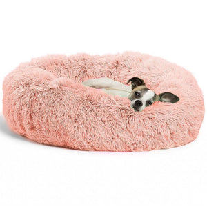 Pet Bed