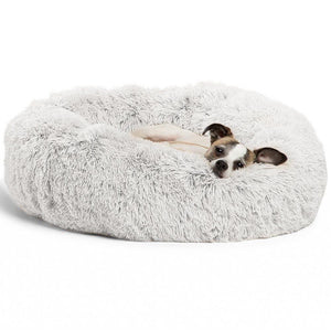 Pet Bed