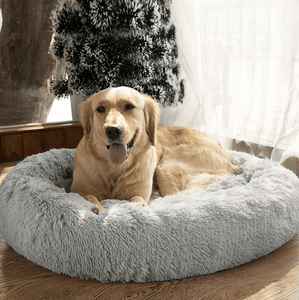 Pet Bed