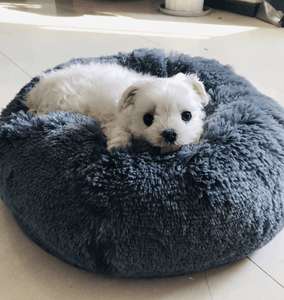 Pet Bed