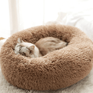 Pet Bed