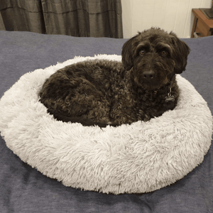 Pet Bed