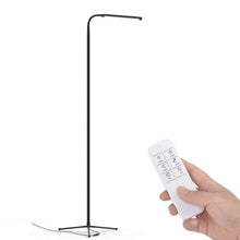 Load image into Gallery viewer, Sleek Floor Lamp
