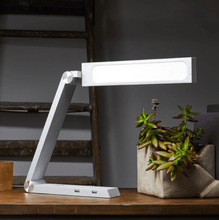 Load image into Gallery viewer, Exodia Desk Lamp
